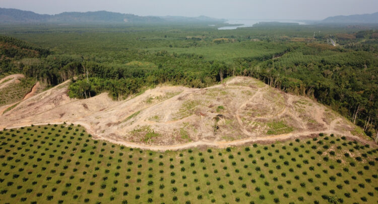 Agriculture swallows up 49 million hectares of forest in 18 years in Africa