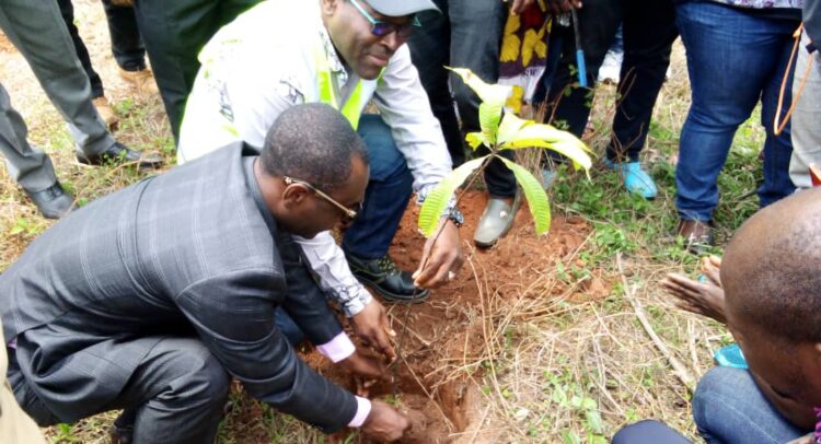 CAMEROUN : Foder restaure la forêt communale de Minta dans la région du Centre