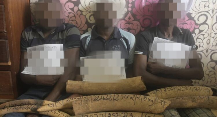 GABON : quatre présumés trafiquants d'ivoire, risquent dix ans de prison