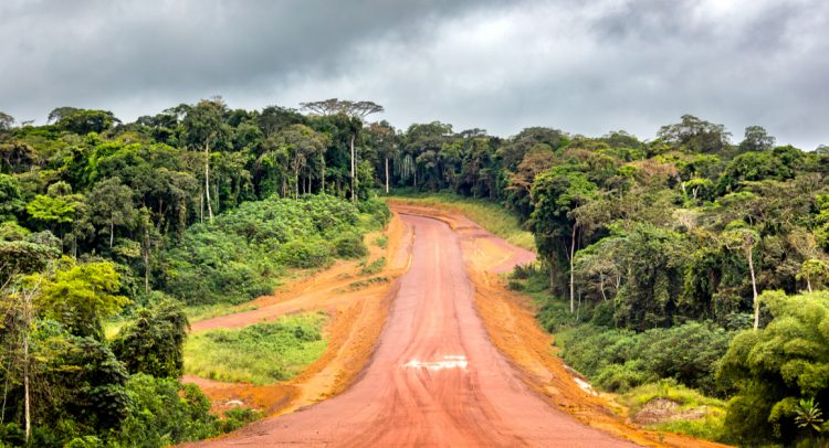 CENTRAL AFRICA: what funding for the Congo Basin forests?