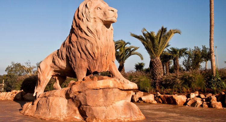 MAROC : voici comment le Jardin zoologique de Rabat s’adapte à la canicule© Jardin Zoologique de Raba/Shutterstock