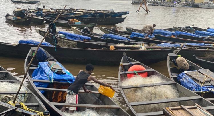 Pêche illicite au Cameroun