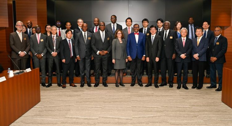 AFRICA: the AfDB and UNEP join forces to implement the KMGBF of biodiversity© African Development Bank Group