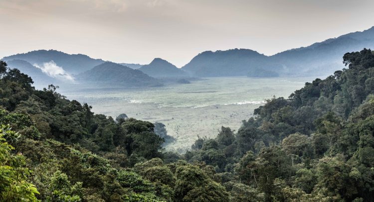 CONGO BASIN: Nyungwe and Odzala-Kokoua join Unesco heritage list © Nyungwe National Park - Rwanda