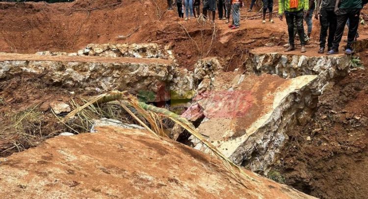 CAMEROUN : Des glissements de terrain tuent plus de 30 personnes à Yaoundé, Greenpeace demande au gouvernement d'agir et aux pollueurs de payer