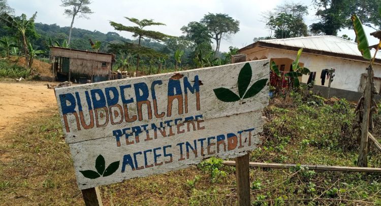 Cameroun : le Ras-le-bol des populations de deux villages à Djoum