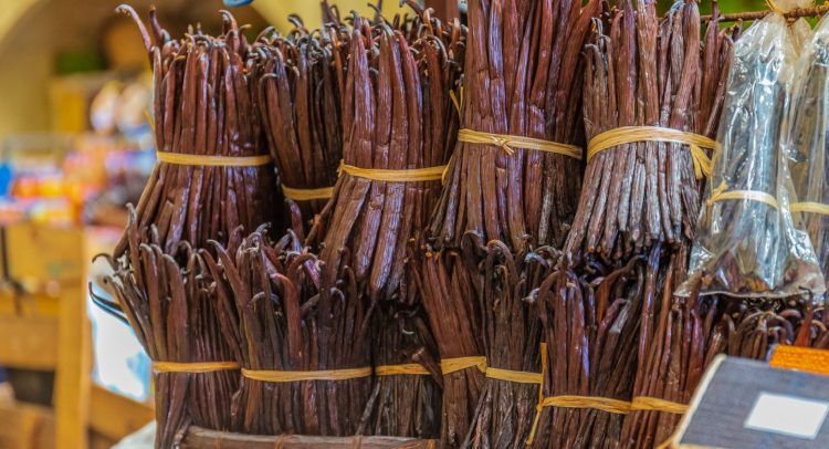 MADAGASCAR: vanilla cultivation in the forest threatens 47% of endemic species©Framalicious/Shutterstock