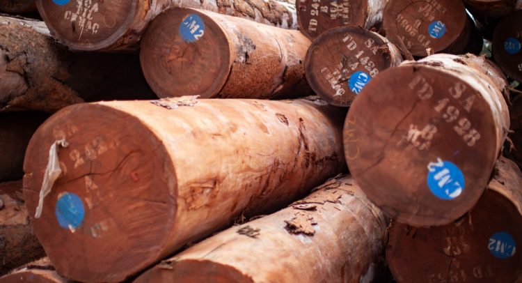 CONGO: ATIBT to eliminate "prejudice" against logging ©Oleg Puchkov