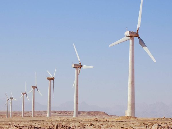 Égypte : bientôt l’ajout d’une capacité éolienne record de 1,1 GW dans le Golfe de Suez©Ofid