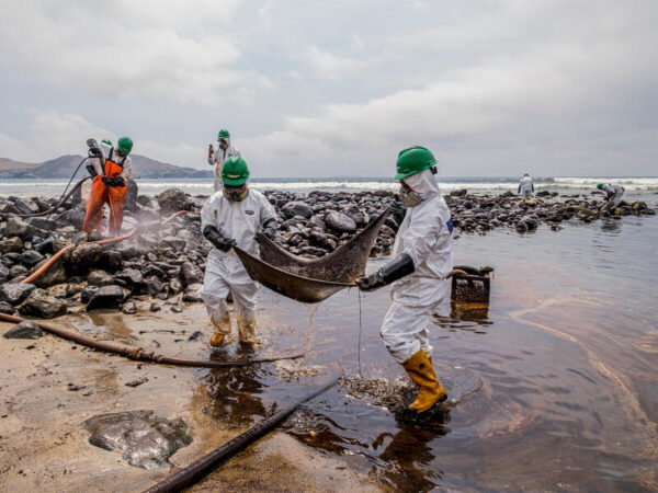 Delta du Niger : le procès contre Shell s’ouvre à Londres pour pollution pétrolière©Amnesty international