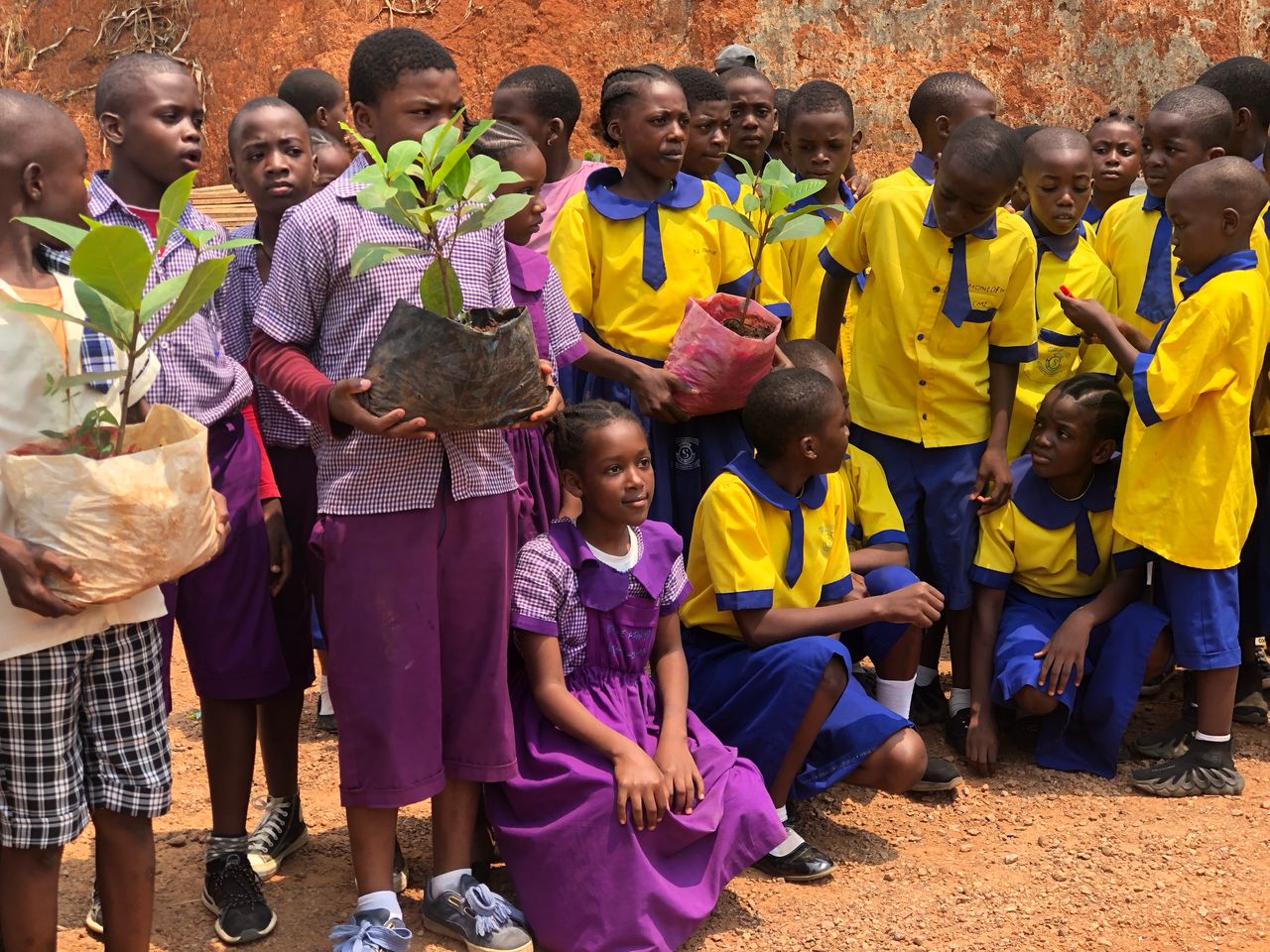 CAMEROUN : le Pulitzer promeut la résilience environnementale dans les écoles