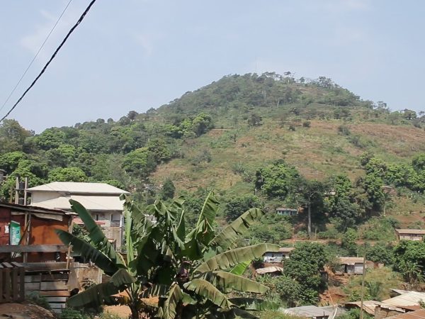 Villes asphyxiées : Quand la déforestation urbaine déclenche le chaos Les inondations meurtrières de Yaoundé, les coulées de boue à Libreville et l’érosion des sols à Kigali ont un point commun : la disparition progressive des forêts urbaines. Alors que l’expansion des villes grignote sans relâche les derniers espaces boisés, les conséquences se font déjà sentir sur l’environnement et la qualité de vie des habitants. Témoignages, analyses et solutions pour stopper l’hémorragie.