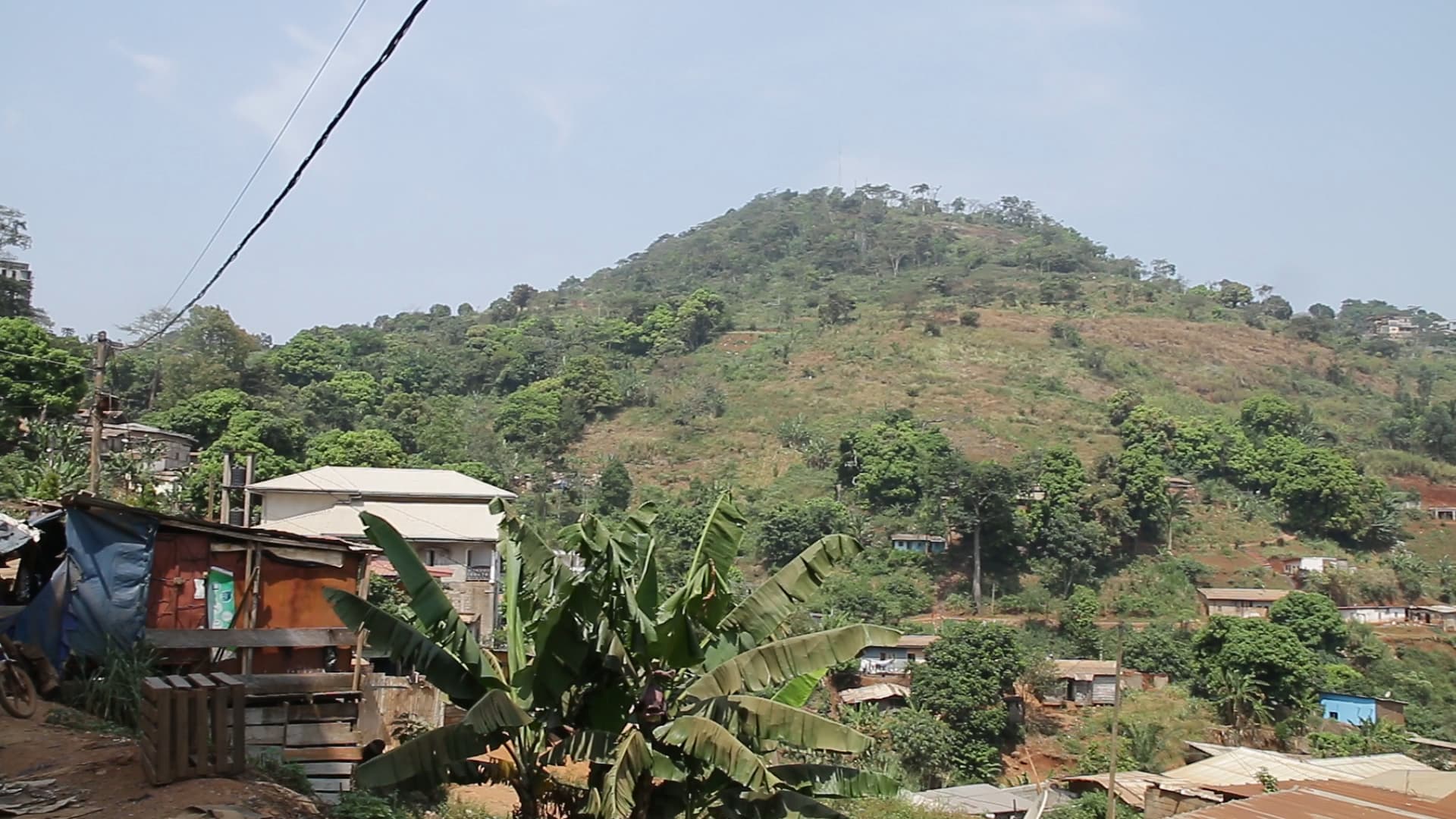 Villes asphyxiées : Quand la déforestation urbaine déclenche le chaos Les inondations meurtrières de Yaoundé, les coulées de boue à Libreville et l’érosion des sols à Kigali ont un point commun : la disparition progressive des forêts urbaines. Alors que l’expansion des villes grignote sans relâche les derniers espaces boisés, les conséquences se font déjà sentir sur l’environnement et la qualité de vie des habitants. Témoignages, analyses et solutions pour stopper l’hémorragie.