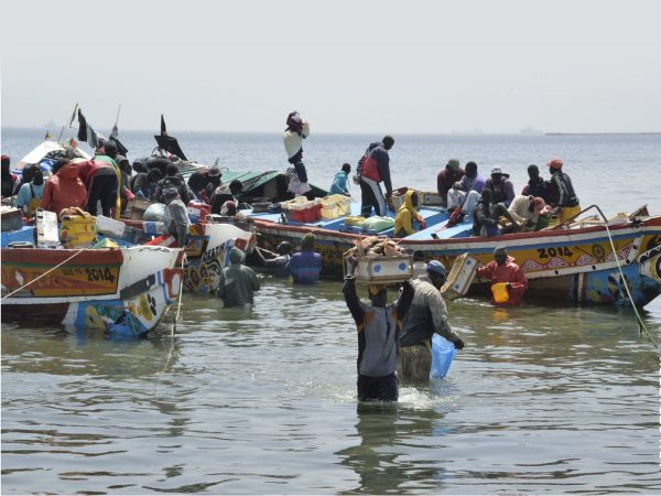 Un rapport de l’Environmental Justice Foundation (EJF) met en lumière le lien direct entre la surpêche au Sénégal et la hausse dramatique des migrations vers l’Europe. Alors que les flottes industrielles pillent les eaux sénégalaises, les pêcheurs artisanaux n’ont d’autre choix que de fuir une mer vidée de ses ressources. En 2024, près de 64 000 personnes ont tenté la traversée, souvent au péril de leur vie.