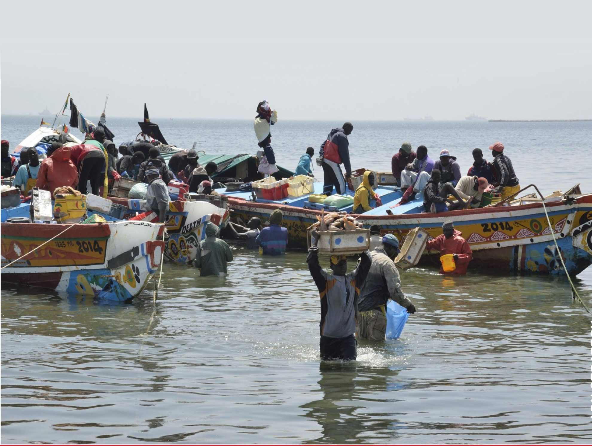 Un rapport de l’Environmental Justice Foundation (EJF) met en lumière le lien direct entre la surpêche au Sénégal et la hausse dramatique des migrations vers l’Europe. Alors que les flottes industrielles pillent les eaux sénégalaises, les pêcheurs artisanaux n’ont d’autre choix que de fuir une mer vidée de ses ressources. En 2024, près de 64 000 personnes ont tenté la traversée, souvent au péril de leur vie.