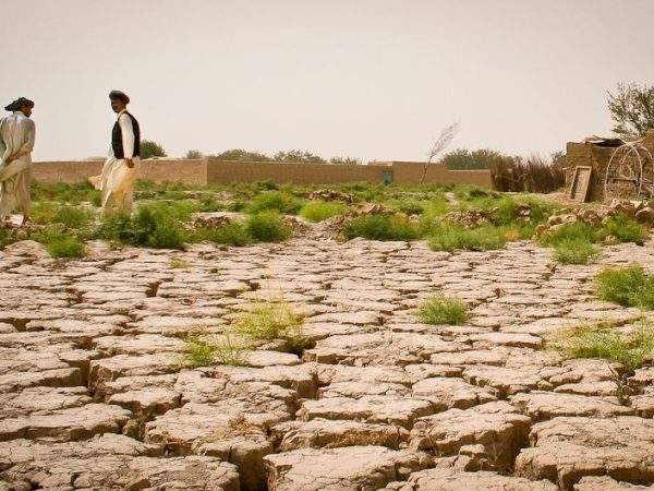 En Tunisie, un 33 200 hectares de terres dégradées seront restaurées d’ici à 2050©UNCCD