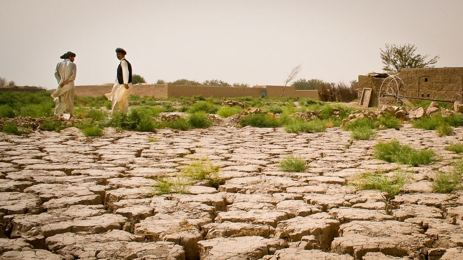 En Tunisie, un 33 200 hectares de terres dégradées seront restaurées d’ici à 2050©UNCCD