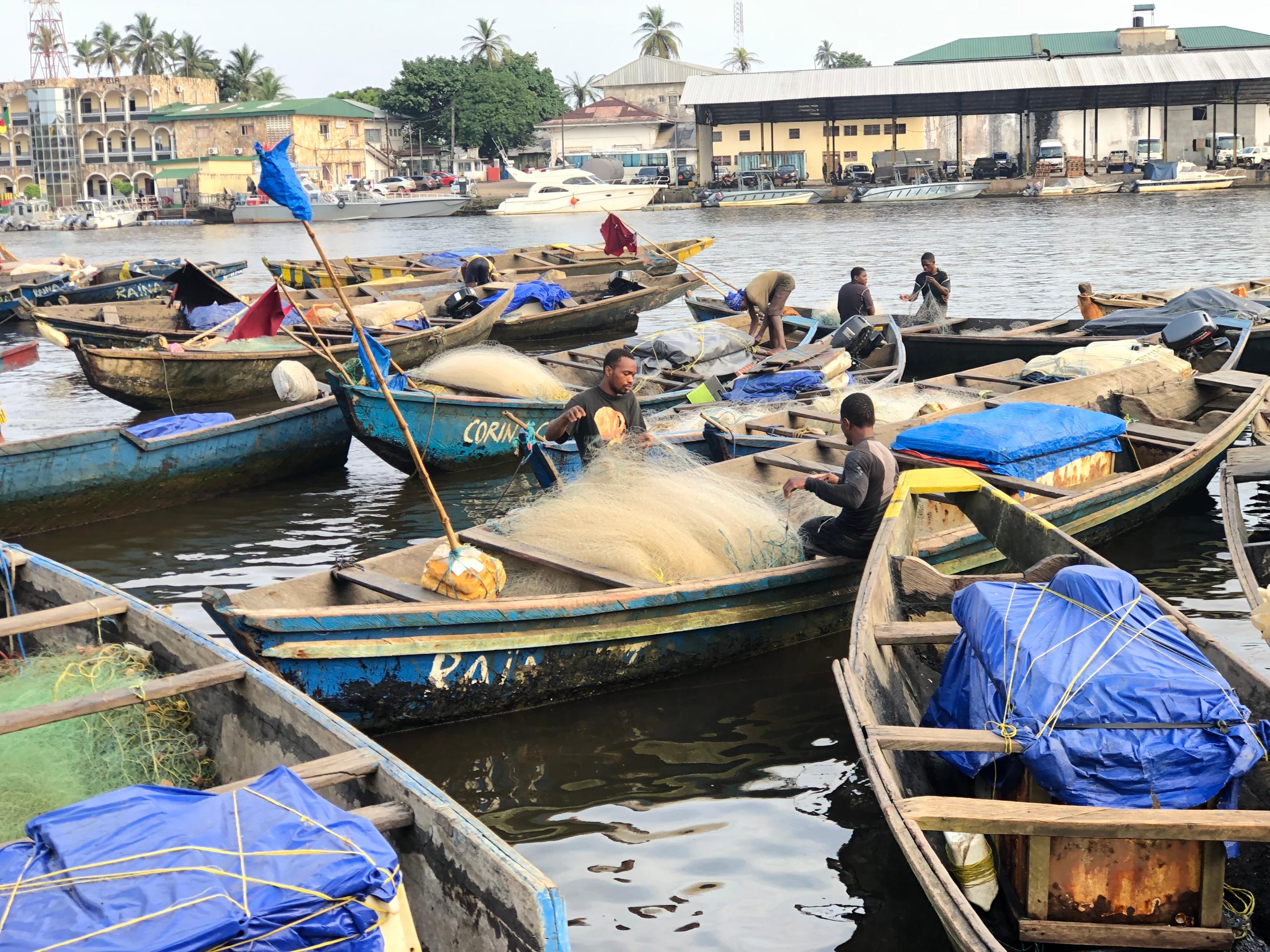 La cité balnéaire de Kribi, au sud du Cameroun, se prépare à vibrer au rythme de la mer ! Du 22 au 24 mai 2025, la ville portuaire accueillera la toute première édition du Salon de la Pêche et de l’Aquaculture (SAPA), sous le haut parrainage du préfet de l’Océan. Objectif : promouvoir la pêche durable et booster l’économie locale par l’import-substitution.