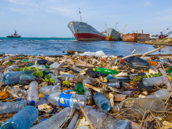 Alors que le Cameroun croule sous plus de 500 000 tonnes de déchets plastiques chaque année, le pays tente de sortir la tête de l’eau face à cette urgence écologique. Un fléau mis en lumière par le thème de la Journée mondiale de l’environnement 2025 : « Mettre fin à la pollution plastique ». Pour analyser les racines de ce drame et proposer des pistes de solution, le Dr Lionel Kaptchouan, Chef de département du Management Environnemental au CNEDD, nous éclaire sur les enjeux nationaux. Mais au-delà du constat alarmant, des solutions locales émergent. À Yaoundé, Poly-Energy Sarl, entreprise citoyenne spécialisée dans le solaire, propose une alternative durable pour réduire à la fois la dépendance aux énergies fossiles et les effets indirects de la pollution plastique. Grâce à des kits solaires accessibles, elle accompagne foyers et collectivités dans leur transition énergétique, démontrant que la lumière peut aussi venir d’ici.