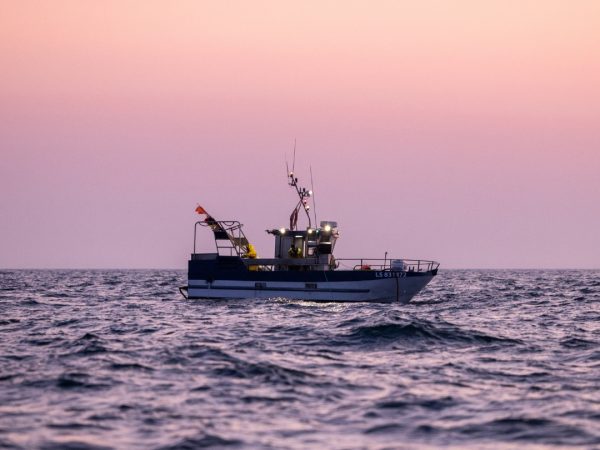 Un nouveau film publié par l’Environmental Justice Foundation (EJF) met en évidence les impacts de la pêche illicite sur les communautés côtières camerounaises, soulignant les défis liés au respect de la législation, les préoccupations en matière de droits humains et la nécessité urgente de renforcer la transparence dans la gouvernance des pêches. Le film donne la parole à des membres d’équipage camerounais et à des pêcheurs artisanaux dont les moyens de subsistance sont détruits par des chalutiers appartenant à des étrangers se livrant à des activités illégales dans les eaux nationales.