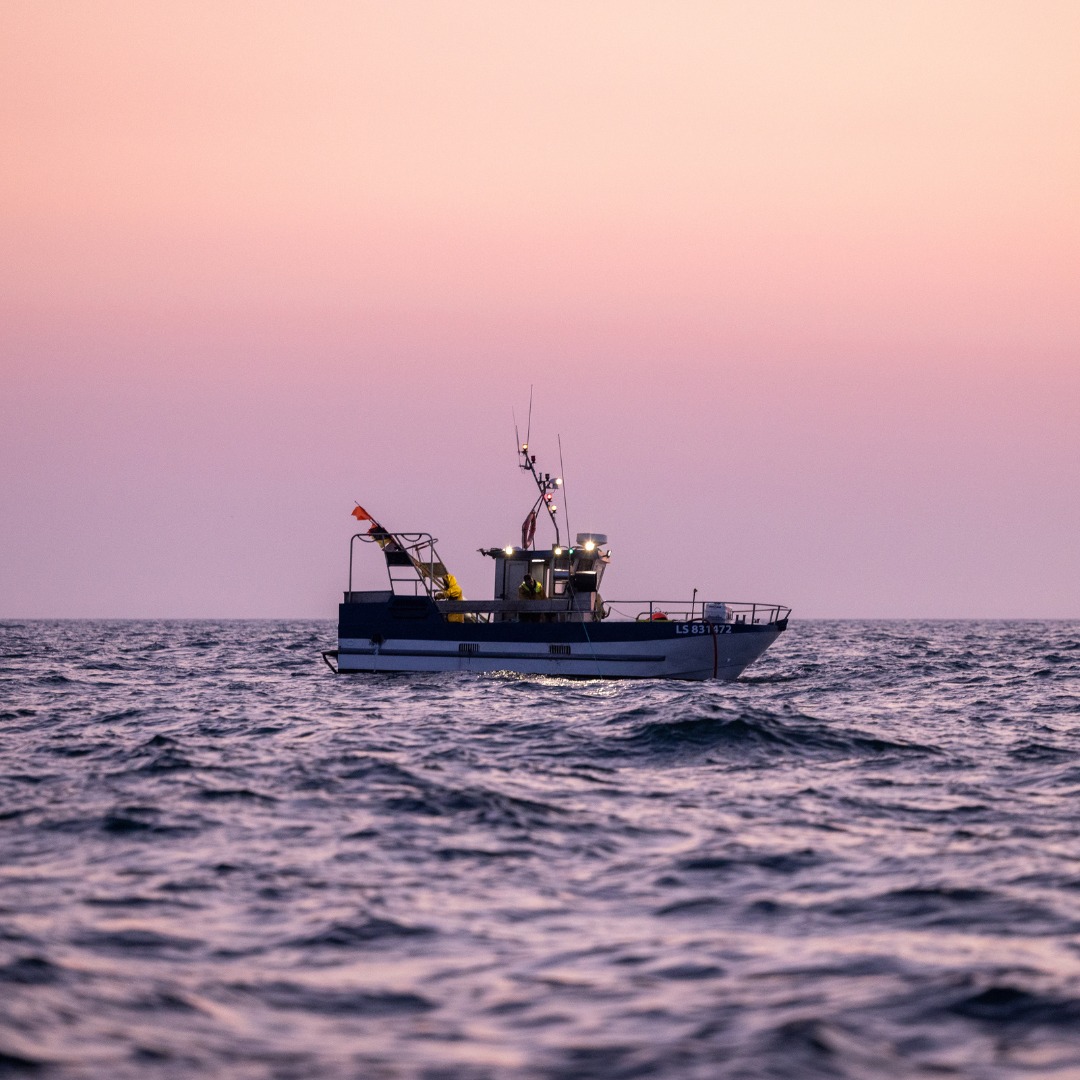 Un nouveau film publié par l’Environmental Justice Foundation (EJF) met en évidence les impacts de la pêche illicite sur les communautés côtières camerounaises, soulignant les défis liés au respect de la législation, les préoccupations en matière de droits humains et la nécessité urgente de renforcer la transparence dans la gouvernance des pêches. Le film donne la parole à des membres d’équipage camerounais et à des pêcheurs artisanaux dont les moyens de subsistance sont détruits par des chalutiers appartenant à des étrangers se livrant à des activités illégales dans les eaux nationales.