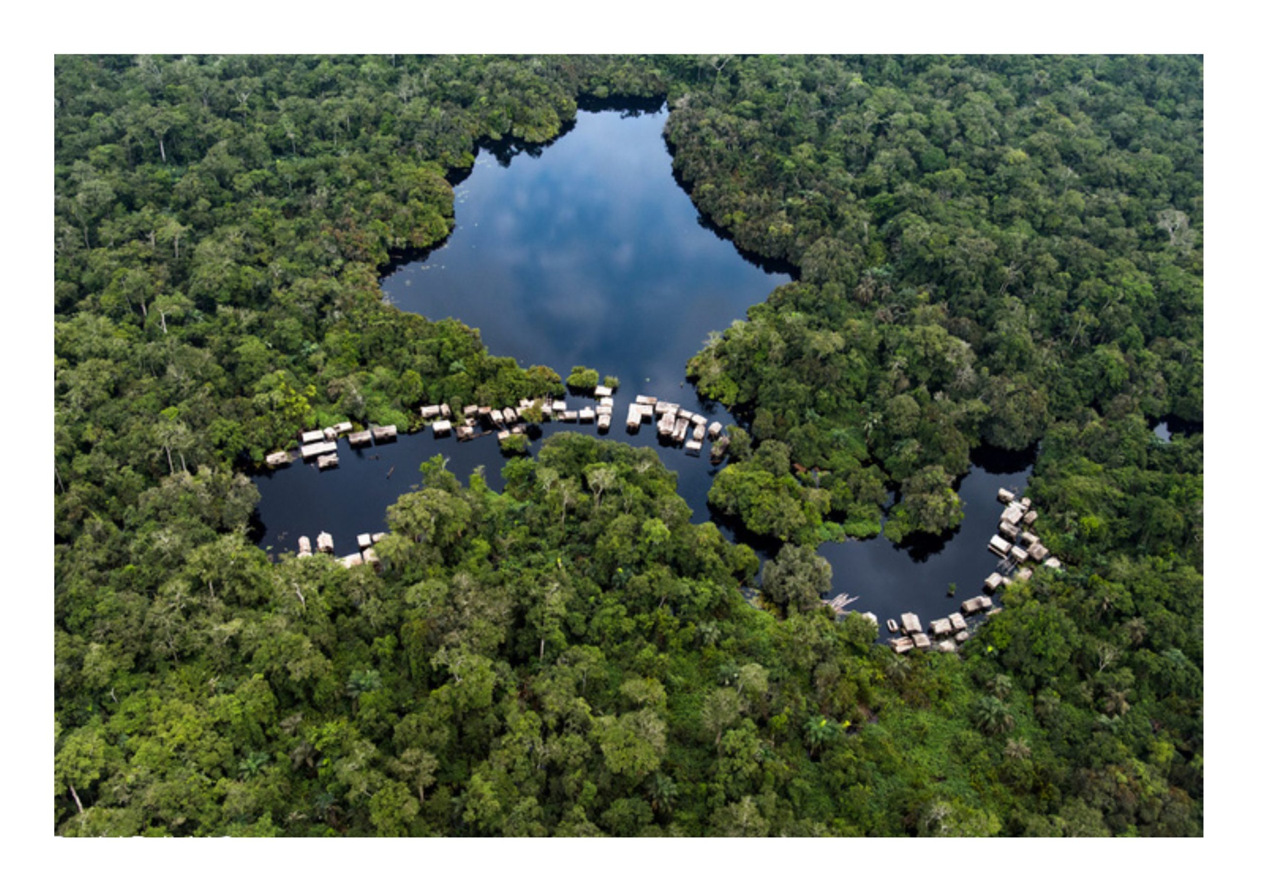 ©Greenpeace Afrique