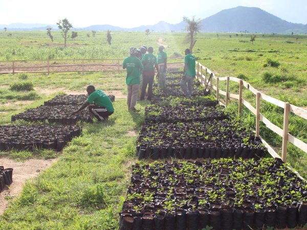 Présidentielles 2025 au Cameroun : quelle place pour l’écologie ?© UNHCR