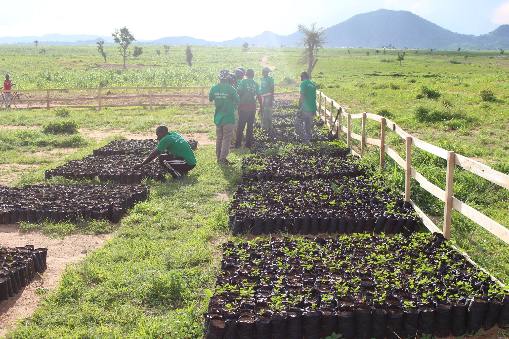 Présidentielles 2025 au Cameroun : quelle place pour l’écologie ?© UNHCR