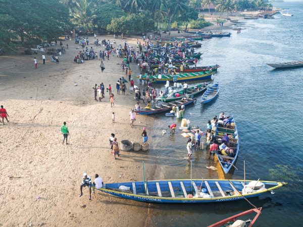 Dans une étape historique pour la gestion durable des pêcheries communautaires, deux Comités Riverains de Gestion Participative (CRGP) ont été officiellement créés et élus les 18 et 19 août 2025 dans les communautés côtières de Yoyo et Mbiako, deux localités côtières de la commune de Mouanko du département de la Sanaga-Maritime dans la région du Littoral au Cameroun. Ces comités confèrent aux populations locales un pouvoir direct de décision sur les ressources halieutiques dont elles dépendent, marquant ainsi une nouvelle ère de gestion inclusive et axée sur la communauté.