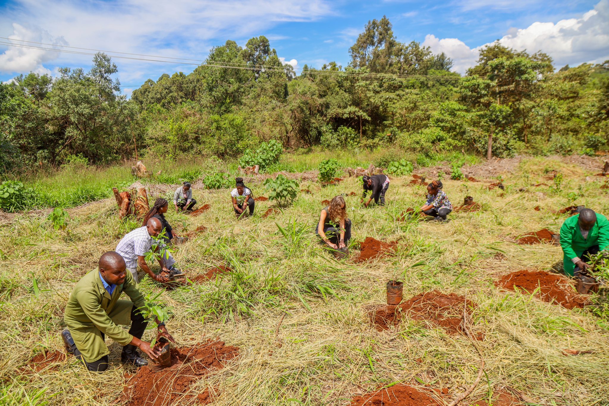 Les efforts de reboisement menés dans le cadre du projet ECO RDC Réserve mondiale écologique, exécuté entre mai 2023 et avril 2024, ont permis la production et la mise en terre de 96 000 jeunes plants dans la plaine de la Ruzizi. Ces données sont issues du rapport technique, transmis ce 9 octobre 2025 à la rédaction d’Environnementales, par le consortium ADAK–ALCO–CTB–CODESH–FK–APROBE. Le projet réalisé avec l’appui de Maniema Leadership Asbl, illustrant la volonté croissante de la RDC de redevenir un acteur majeur de la restauration forestière en Afrique centrale.