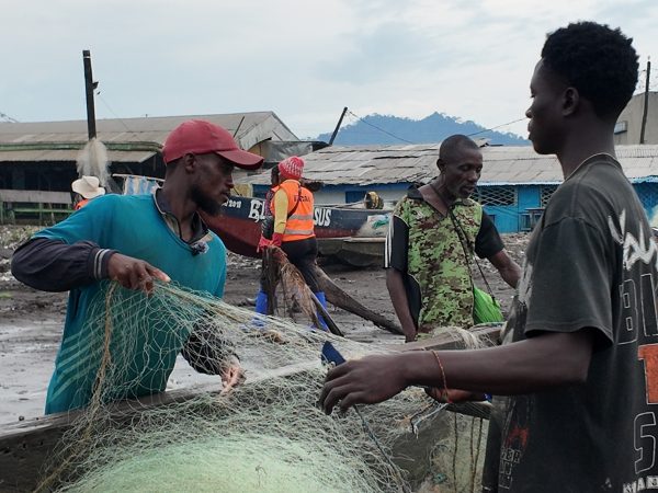 À Limbé, ville côtière du Sud-Ouest du Cameroun, la pêche artisanale (qui fait vivre plus de 2 000 ménages) subit de plein fouet les contrecoups de la crise anglophone. Entre jours de ville morte, insécurité, chute du tourisme et concurrence accrue sur des ressources halieutiques limitées, les pêcheurs tentent de maintenir à flot une activité essentielle à la sécurité alimentaire locale. Selon les données du MINEPIA Fako, la production mensuelle est passée de 63 tonnes en janvier 2025 à 22,5 tonnes en mars, avant une légère reprise en avril. Mais derrière ces chiffres se cache une lutte quotidienne pour la survie et pour la paix.