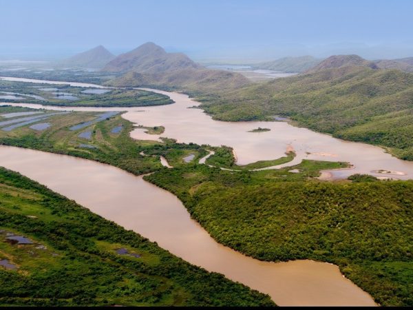 Un rapport de l’Environmental Justice Foundation (EJF) alerte sur la disparition rapide des zones humides d’eau douce, essentielles à la régulation du climat mondial. Présenté ce 17 octobre 2025 à Brasilia, le document révèle que ces écosystèmes, qui stockent des milliards de tonnes de carbone, disparaissent trois fois plus vite que les forêts.