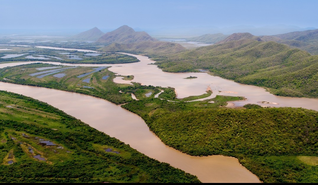 Un rapport de l’Environmental Justice Foundation (EJF) alerte sur la disparition rapide des zones humides d’eau douce, essentielles à la régulation du climat mondial. Présenté ce 17 octobre 2025 à Brasilia, le document révèle que ces écosystèmes, qui stockent des milliards de tonnes de carbone, disparaissent trois fois plus vite que les forêts.
