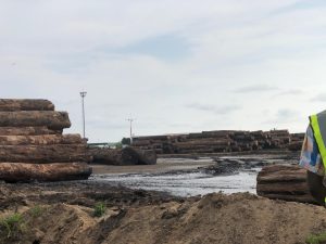 Entre 2013 et 2018, le Vietnam a importé pour 883 millions dollars de bois déclaré comme d’origine camerounaise, alors que Yaoundé n’avait officiellement enregistré que 476 millions dollars. Cette révélation faite par une enquête de l’Environmental Investigation Agency, indique l’existence d’un trou commercial de plus de 400 millions de dollars, soit environ 225,6 milliards FCFA. En d’autres termes, la chaîne d’approvisionnement du bois camerounais est gangrénée par un trafic massif et une sous-facturation organisée. Sur le terrain, à l’entrée du port de Douala, notre investigation met au jour un système rodé : documents détournés, « lettres de route » falsifiées, corruption aux checkpoints et circuits maritimes discrets vers l’Asie, qui transforment l’exportation du bois en un commerce parallèle extrêmement lucratif.