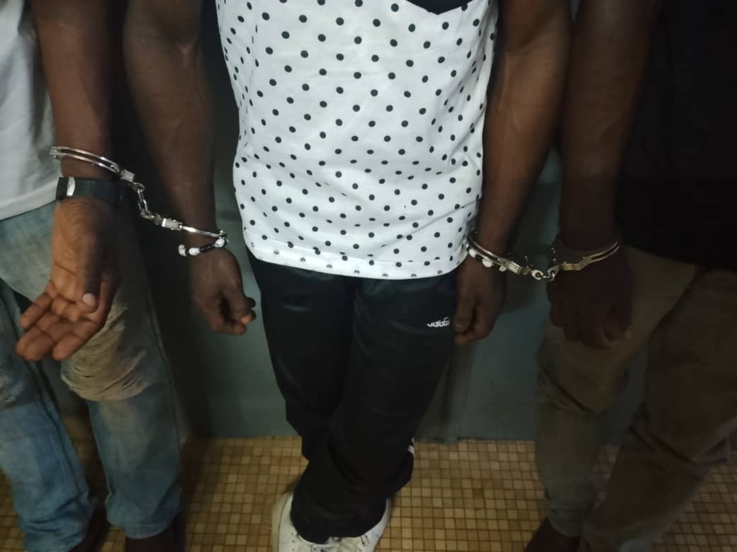 Une importante opération conjointe menée le 22 décembre 2025 à Franceville ( dans le sud-est du Gabon ) par la Direction provinciale des Eaux et Forêts et la Police judiciaire du Haut-Ogooué, avec l’appui de l’ONG Conservation Justice, a abouti à l’arrestation de trois présumés trafiquants d’ivoire de nationalité gabonaise, saisis en possession de dix défenses d’éléphants destinées à la commercialisation illicite.