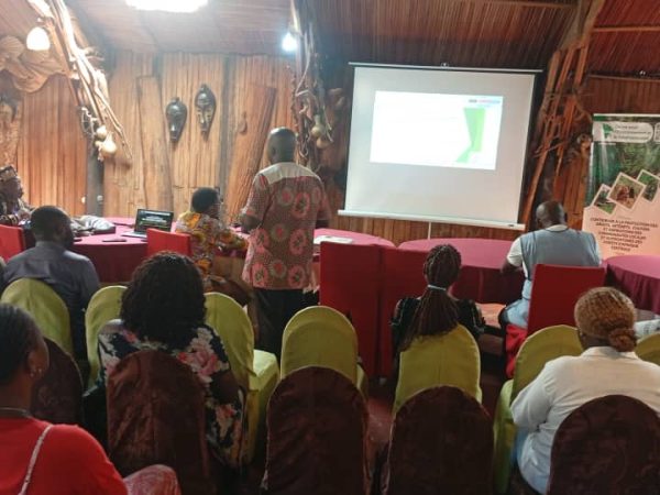 Au Cameroun, les infractions forestières coûtent plus d’un milliard de francs CFA par an aux caisses publiques, tout en alimentant un commerce illégal transfrontalier qui multiplie les profits jusqu’à x3 entre le Cameroun et le Congo. Pour renforcer la transparence et freiner ces réseaux, un atelier a réuni hier à Yaoundé le WRI, le Centre pour l’Environnement et le Développement (CED) et l’Association des Journalistes Scientifiques du Cameroun (SCILIFE). Au cœur des échanges : la vulgarisation de l’Open Timber Portal, un outil numérique présenté comme une nouvelle arme contre l’exploitation forestière illégale.