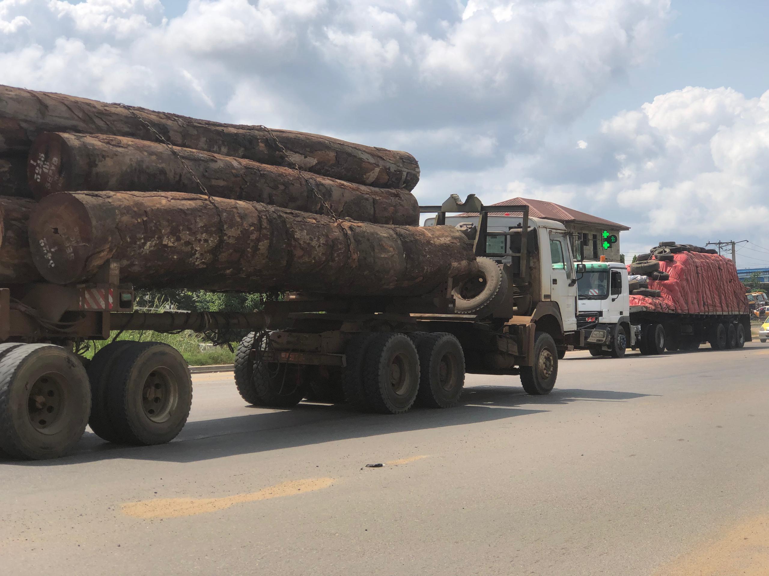 Des centaines de milliards de francs CFA échappent aux registres officiels pendant que les forêts camerounaises se vident. Dans ce premier numéro de la saison 2026, Environnementales remonte la filière du bois illégal, du cœur des forêts jusqu’au port de Douala, porte d’entrée d’un trafic massif vers l’Asie.