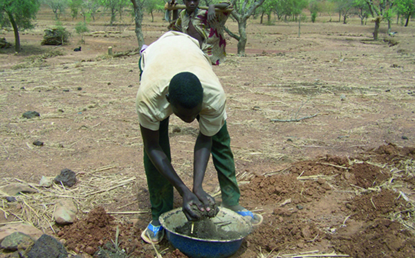 Zaï : la riposte agricole contre la dégradation des sols