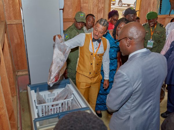 Les communautés de Bakoussou et de Ndékabalandji franchissent une nouvelle étape dans la conciliation entre gestion durable de la faune et autonomisation économique. Le 27 janvier dernier, le village de Bakoussou a inauguré officiellement un point de vente communautaire dédié à la commercialisation de poisson et de viande de brousse. Cette initiative pilote s’inscrit pleinement dans la vision nationale visant à renforcer la durabilité environnementale tout en promouvant un développement inclusif.