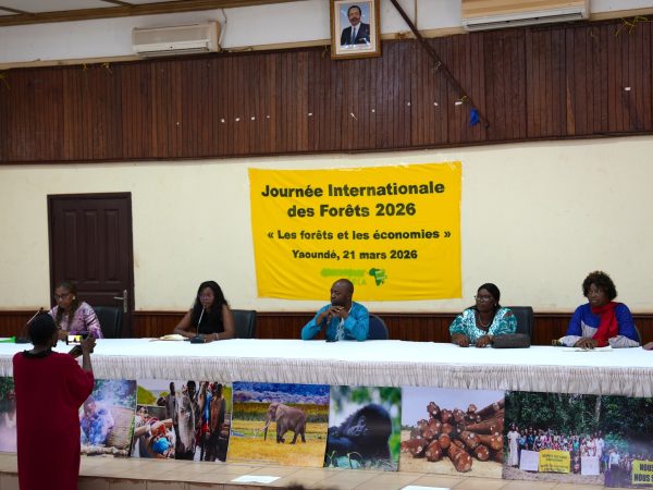 À l’occasion de la Journée internationale des forêts 2026, Greenpeace Afrique a mobilisé à Yaoundé acteurs publics, société civile et communautés locales autour du thème « Forêts et économies ». Entre chiffres inquiétants, témoignages poignants et plaidoyer pour des réformes urgentes, l’événement a mis en lumière les menaces croissantes qui pèsent sur les forêts du Cameroun et du Bassin du Congo.