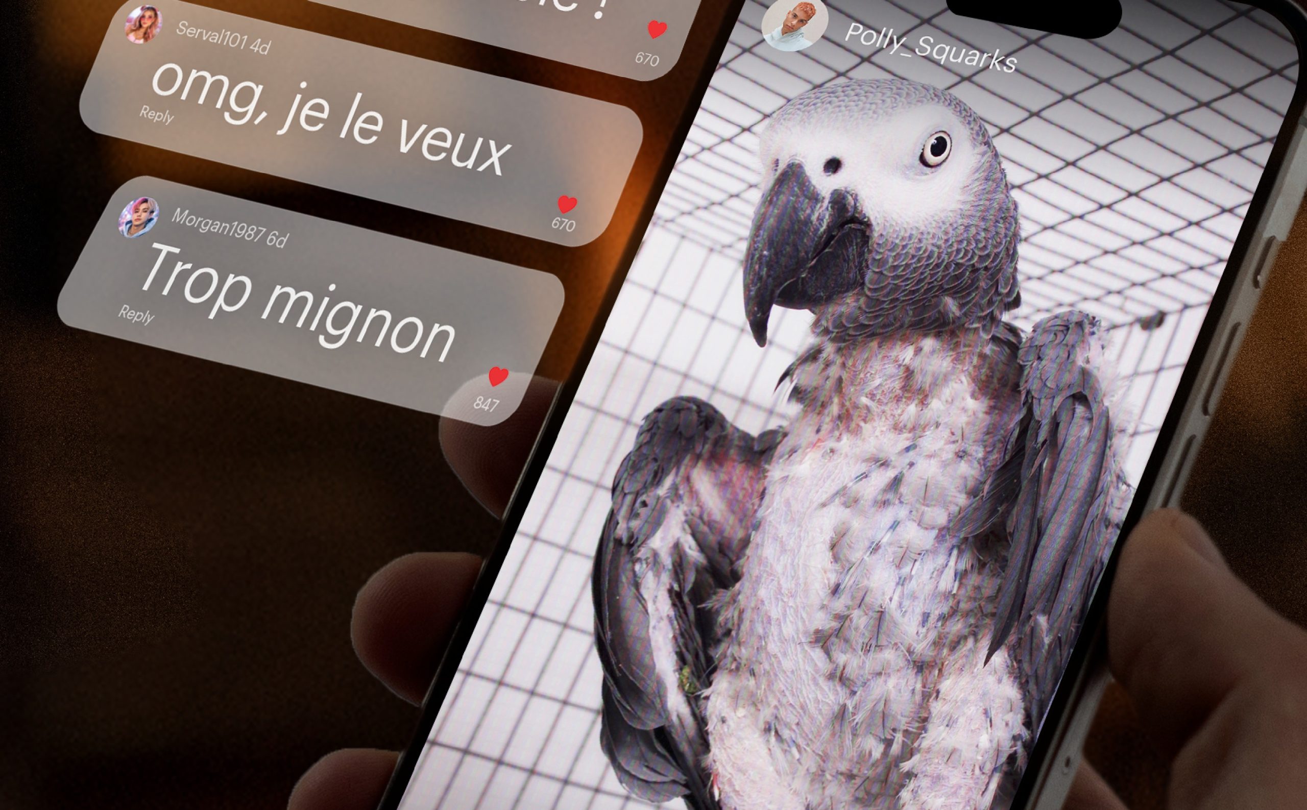 Un nouveau rapport révèle un paradoxe frappant : si les Français se disent largement préoccupés par le trafic d’espèces sauvages, beaucoup ignorent leur rôle dans ce phénomène, notamment à travers leur consommation de contenus diffusés sur les réseaux sociaux.