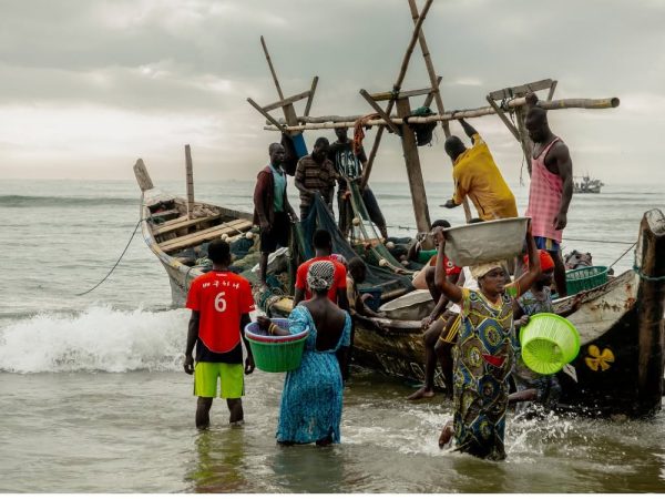 Vingt représentants des communautés côtières de Mbiako et Yoyo prennent part, les 24 et 25 juin 2026, à une formation de l'Environmental Justice Foundation (EJF) destinée à renforcer la lutte contre la pêche illicite, non déclarée et non réglementée (INN). L'initiative, soutenue par l'Union européenne, ambitionne de faire des communautés locales des acteurs clés de la protection des ressources halieutiques et de la sécurité alimentaire.