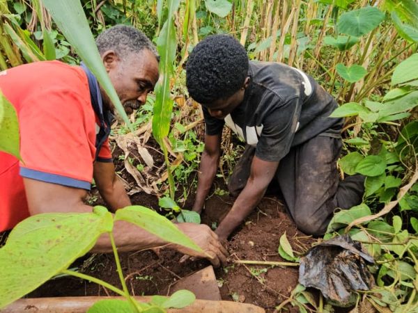 Face à l'urbanisation galopante qui assèche les sources d'eau et grignote les forêts sacrées du Royaume Bafoussam, la concession familiale Wouembe Nteh a lancé, avec l'appui technique de l’Organisation Environnement Recherche et Développement (ERD) (https://erdcameroun.org), un projet pilote de restauration écologique qui fait partie de son « Programme de réhabilitation des forêts sacrées de Bafoussam : préserver la biodiversité pour pérenniser l’identité culturelle et les traditions locales ». Au total, 200 plants de sept essences locales ont été mis en terre sur ce site chargé d'histoire et de culture, grâce au fonds propre d'ERD. Au-delà du reboisement, l'initiative ambitionne de protéger la biodiversité, préserver les savoirs ancestraux et servir de modèle pour d'autres forêts sacrées du Cameroun.
