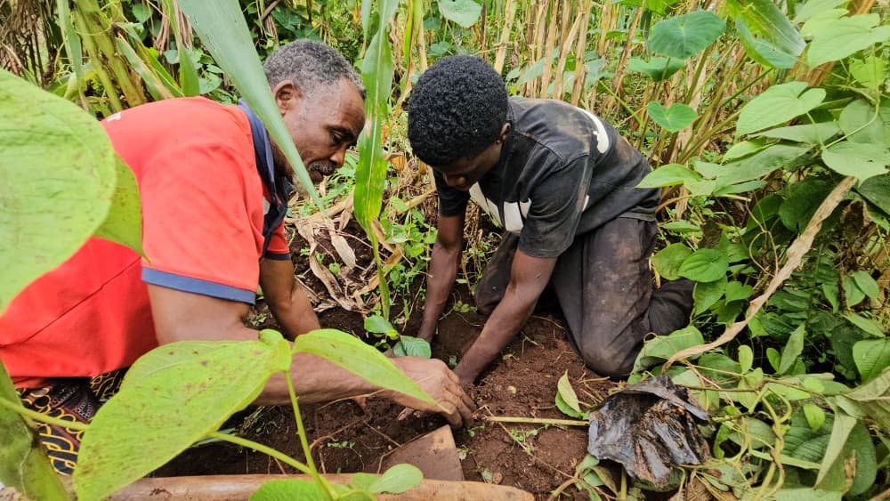 Face à l'urbanisation galopante qui assèche les sources d'eau et grignote les forêts sacrées du Royaume Bafoussam, la concession familiale Wouembe Nteh a lancé, avec l'appui technique de l’Organisation Environnement Recherche et Développement (ERD) (https://erdcameroun.org), un projet pilote de restauration écologique qui fait partie de son « Programme de réhabilitation des forêts sacrées de Bafoussam : préserver la biodiversité pour pérenniser l’identité culturelle et les traditions locales ». Au total, 200 plants de sept essences locales ont été mis en terre sur ce site chargé d'histoire et de culture, grâce au fonds propre d'ERD. Au-delà du reboisement, l'initiative ambitionne de protéger la biodiversité, préserver les savoirs ancestraux et servir de modèle pour d'autres forêts sacrées du Cameroun.