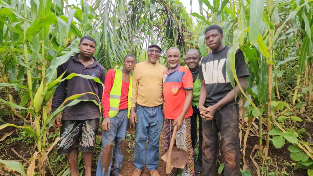 À Bafoussam, dans la région de l'Ouest, une forêt sacrée longtemps menacée par l'urbanisation retrouve progressivement son couvert végétal. Deux cents arbres appartenant à sept essences locales viennent d'y être plantés par les membres de la famille Wouembe Nteh, avec l'appui technique de l'Organisation Environnement Recherche et Développement, ERD. Au-delà du reboisement, cette initiative entend préserver la biodiversité, protéger une source d'eau en voie d'assèchement et transmettre un héritage culturel aux jeunes générations.